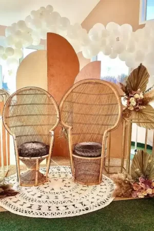 Peacock Chairs